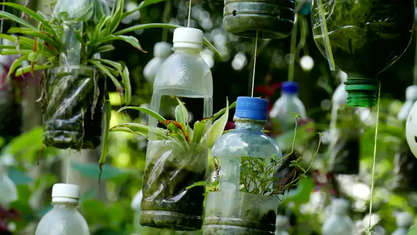 How to Make A Plastic Bottle Garden: Diy Gardening Projects - Revive Garden