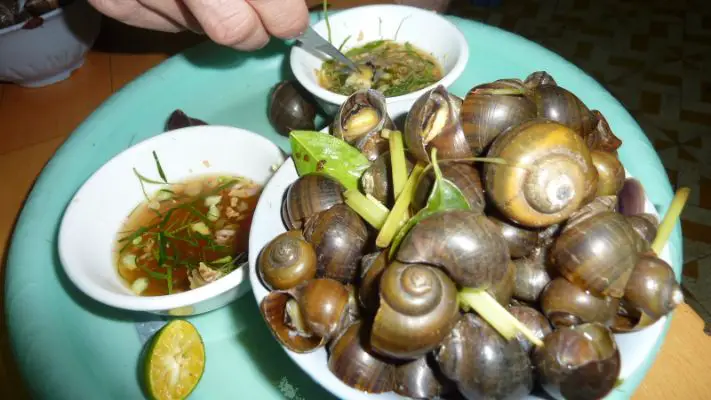 What Do You Feed Garden Snails