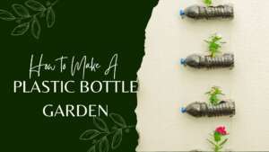 How to Make A Plastic Bottle Garden