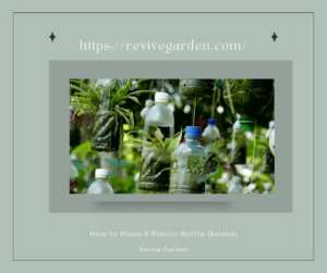 How-to-Make-A-Plastic-Bottle-Garden