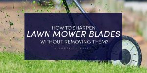 How To Sharpen Lawn Mower Blades Without Removing Them?