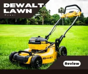 Dewalt Lawn Mower Review