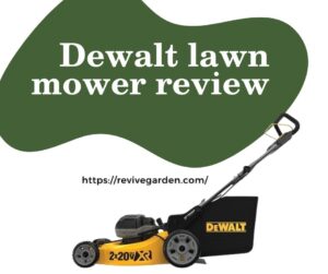 Dewalt-lawn-mower-review