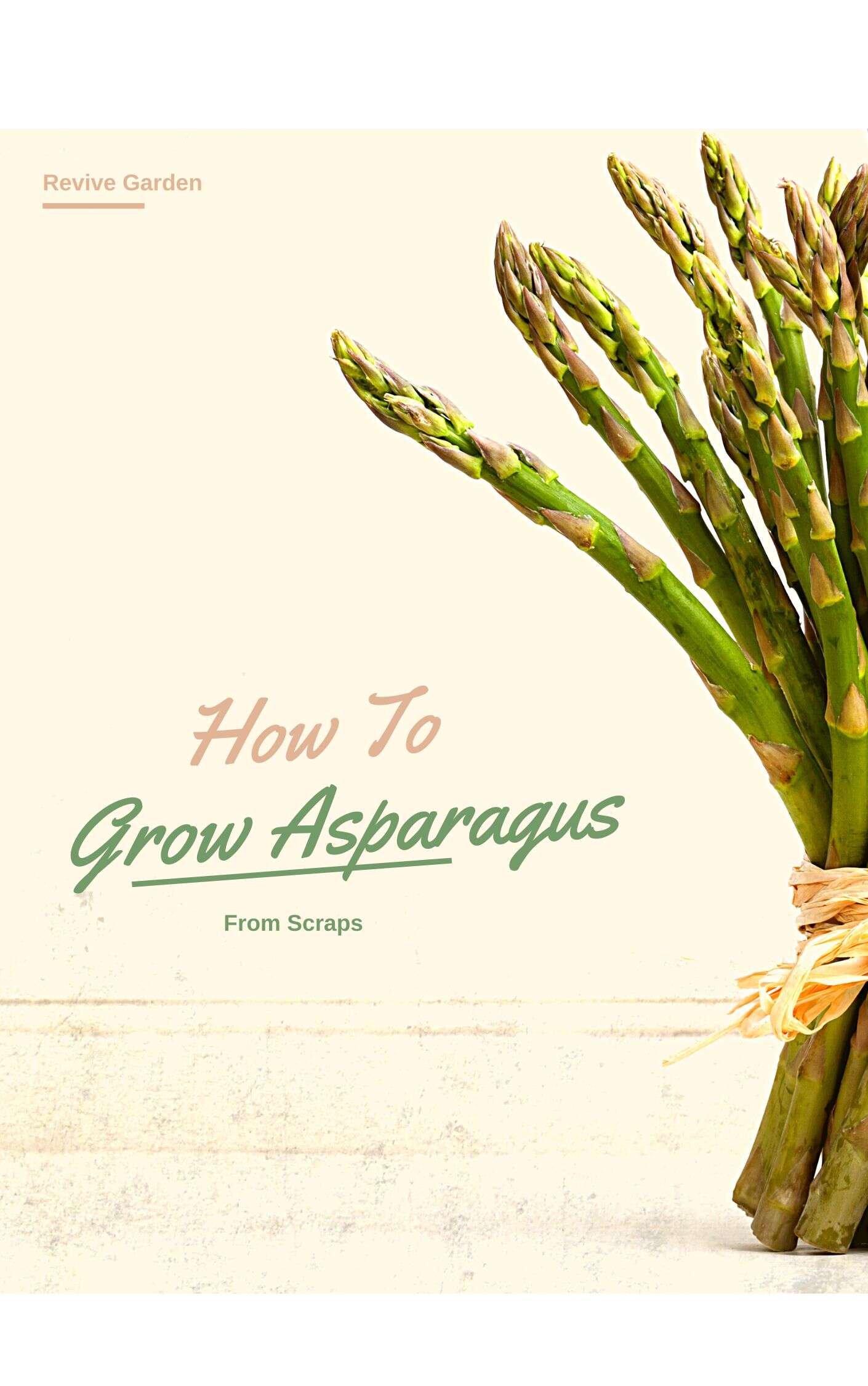 How To Grow Asparagus From Scraps