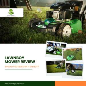 Lawnboy Mower Review