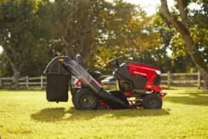 Mowing and cutting