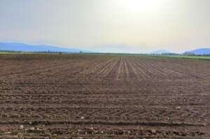 When to start preparing the land and soil