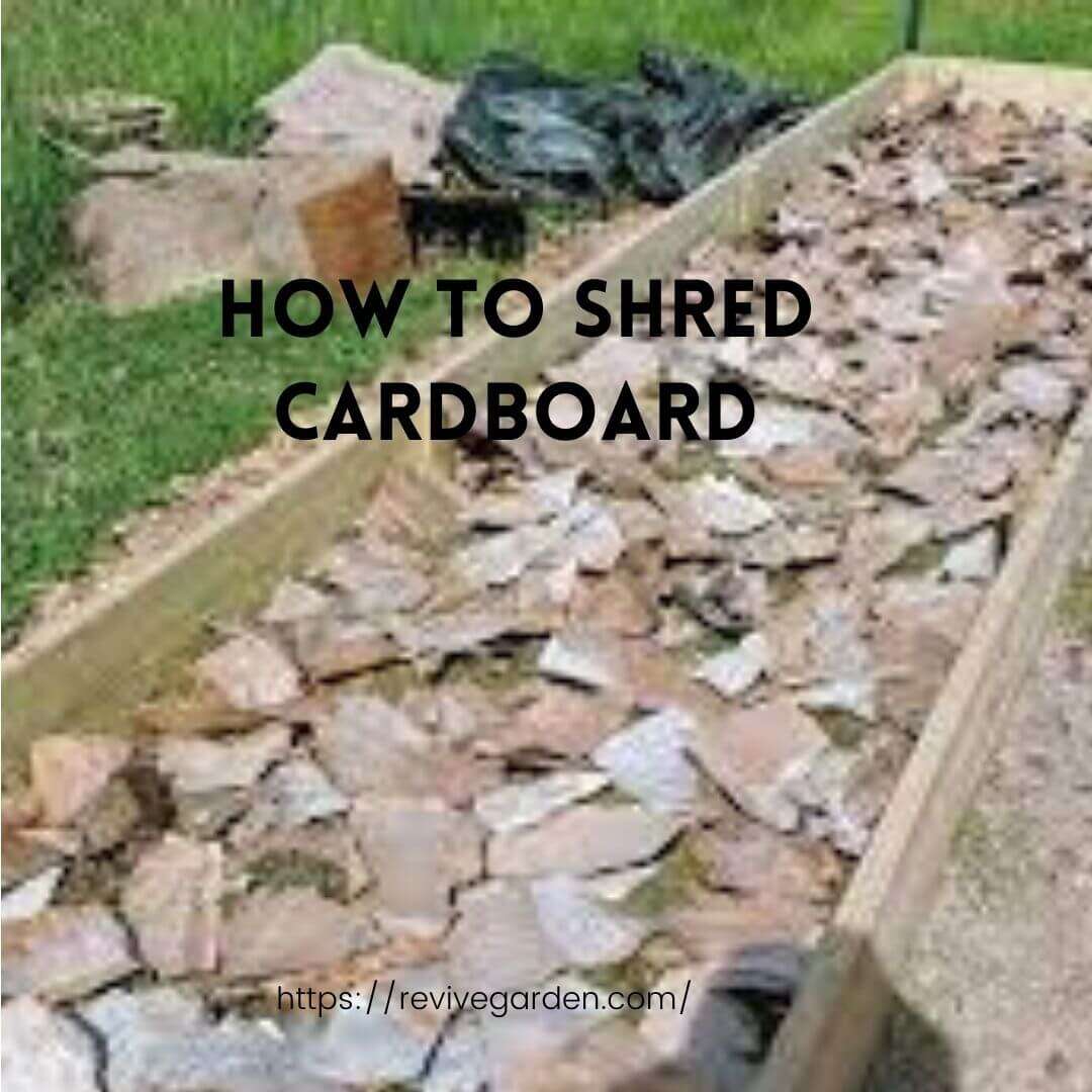 How To Shred Cardboard Easily? Start Today Revive Garden