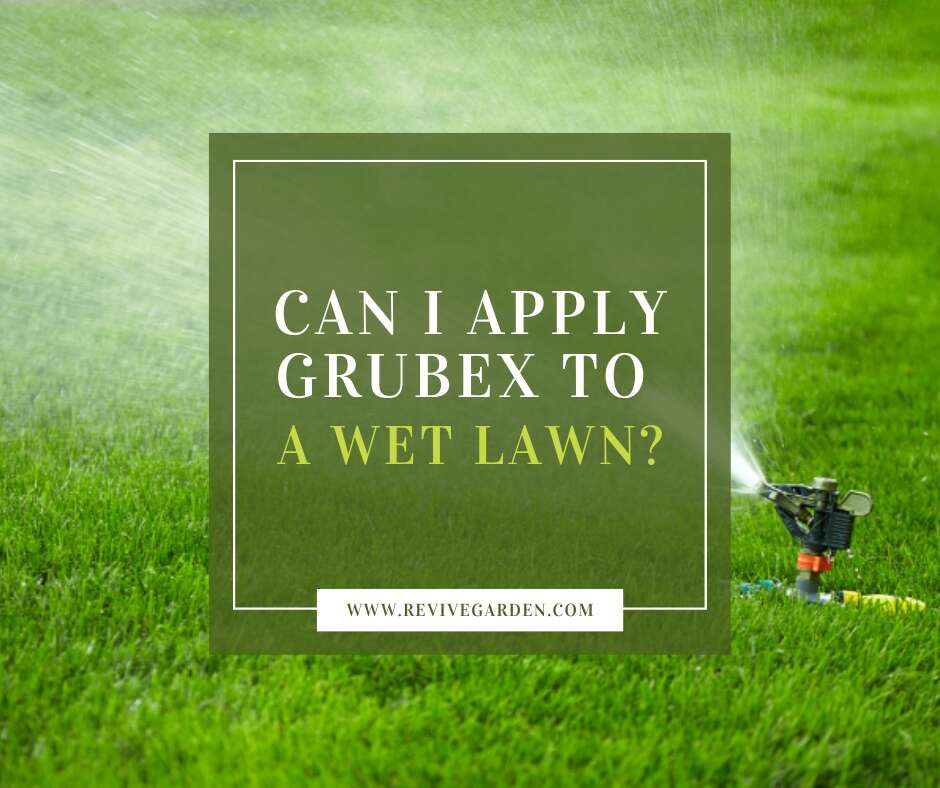 Can I Apply GrubEx To a Wet Lawn