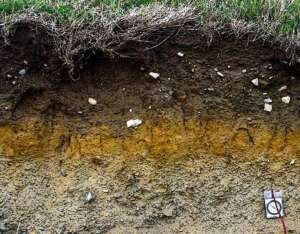 Change in Soil Composition