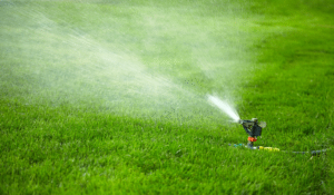 How Often Should I Water My Lawn - Make It Green