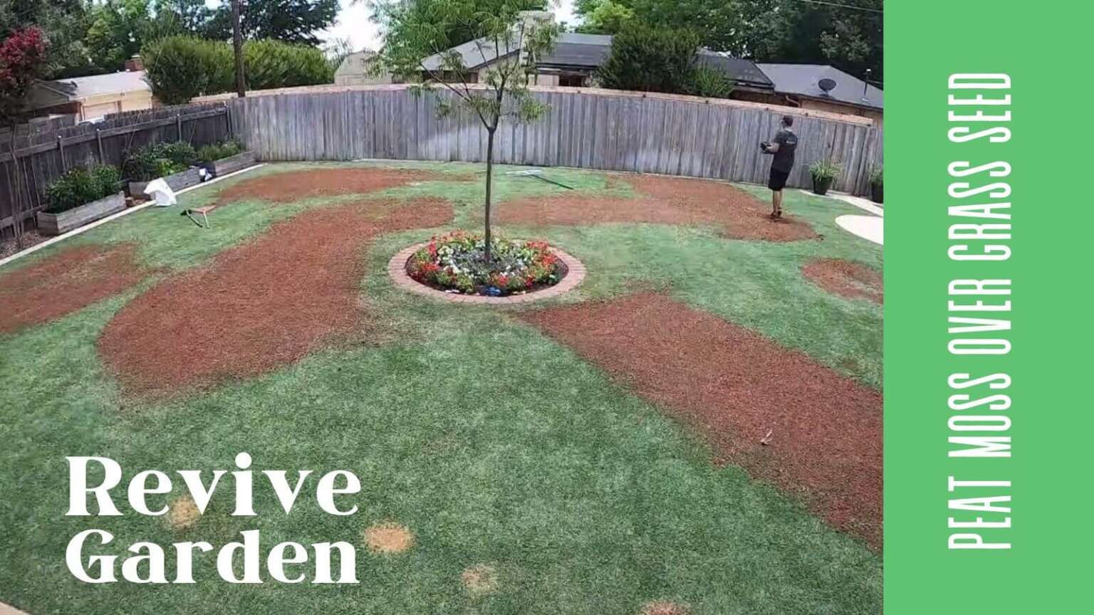 Peat Moss Over Grass Seed? Beneficial Practice for Lush Lawns