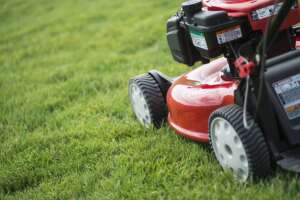 Points to Consider Before Purchasing Lawnmower