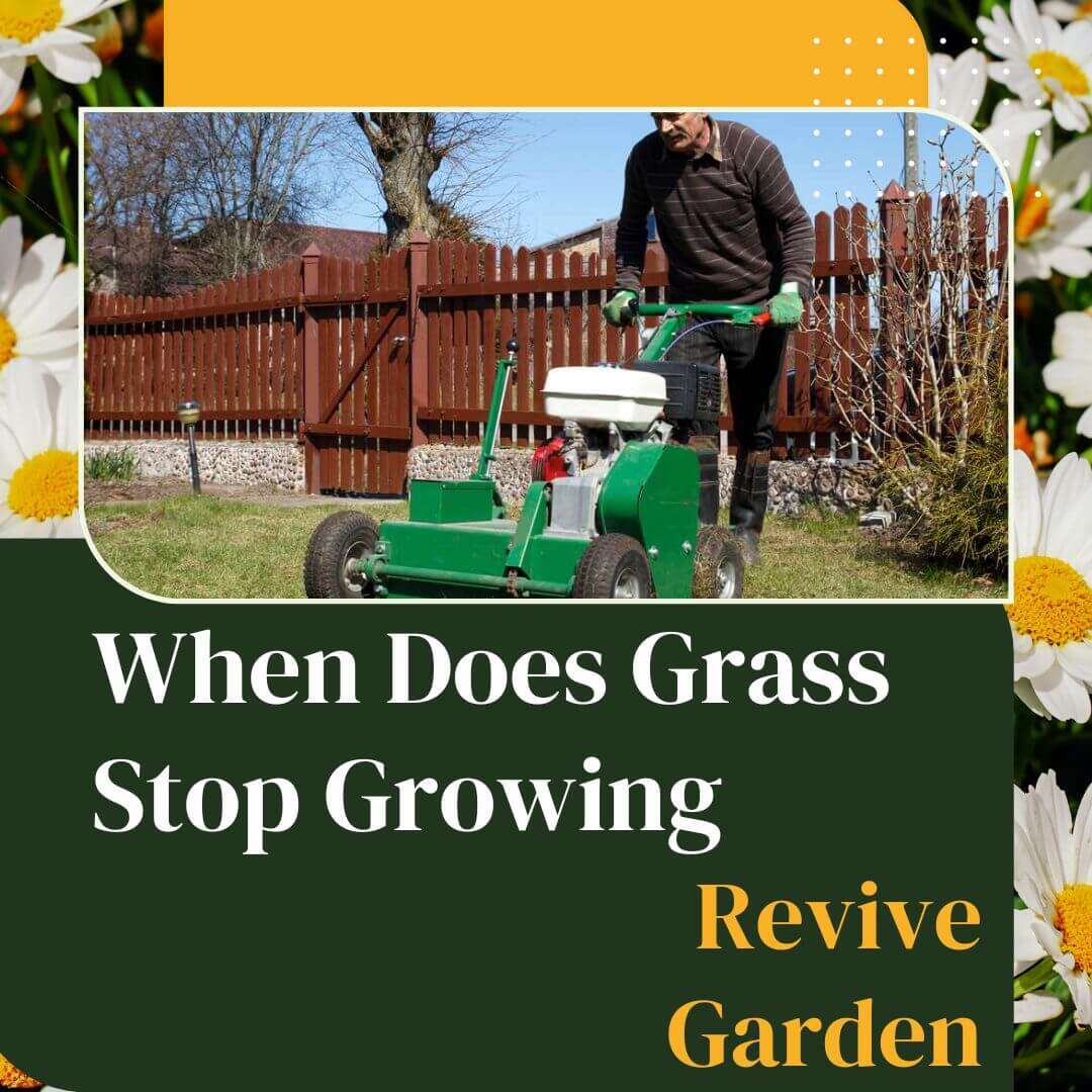 When-Does-Grass-Stop-Growing