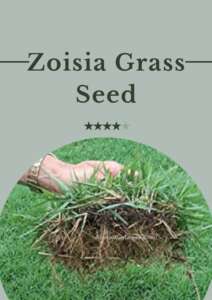 Zoysia-Grass-Seed