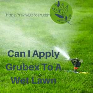 can-i-apply-grubex-to-a-wet-lawn