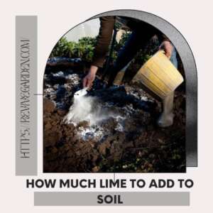 how-much-lime-to-add-to-soil