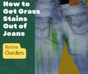 how-to-get-grass-stains-out-of-jeans