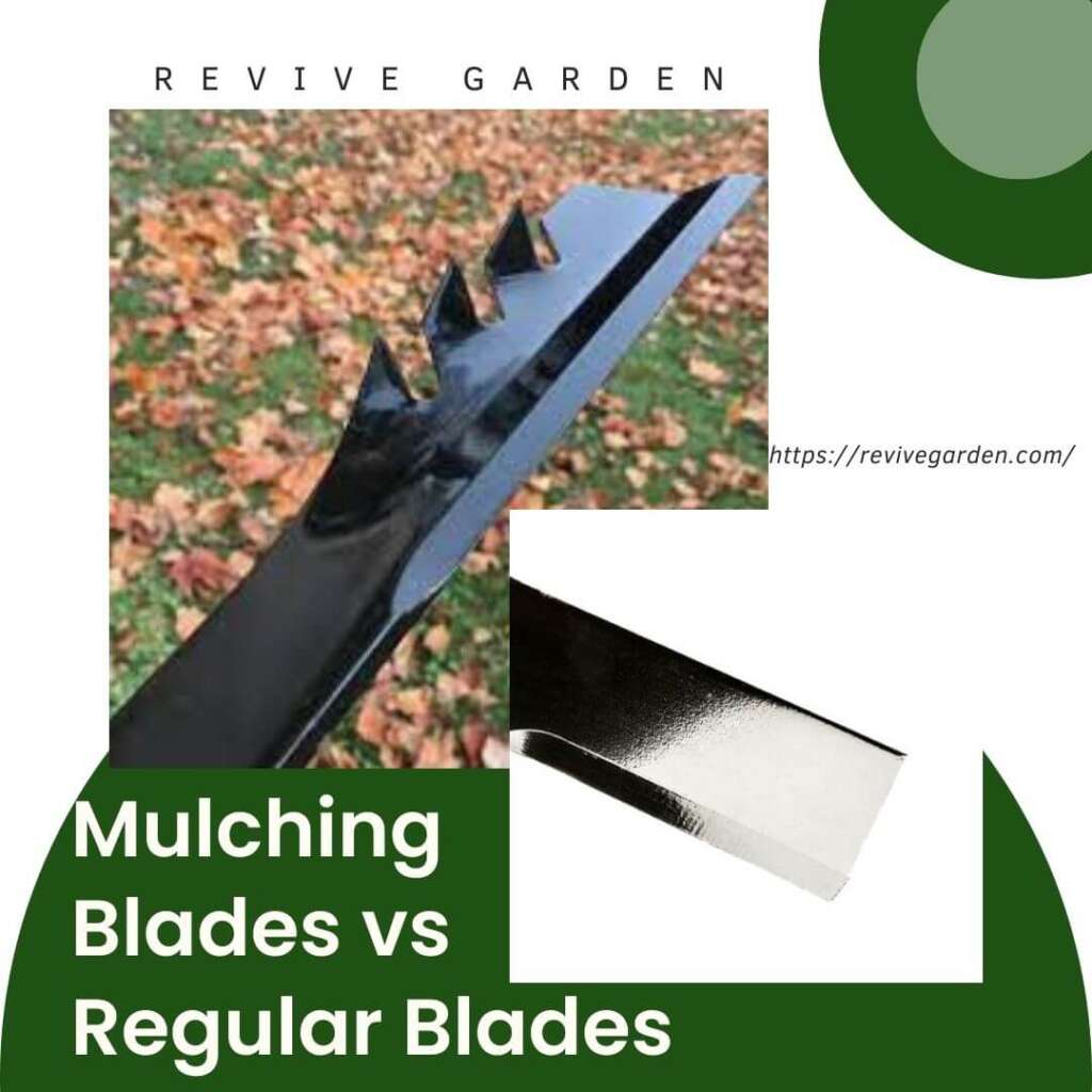 Mulching Blades VS Regular Blades Which Is The Best Revive Garden