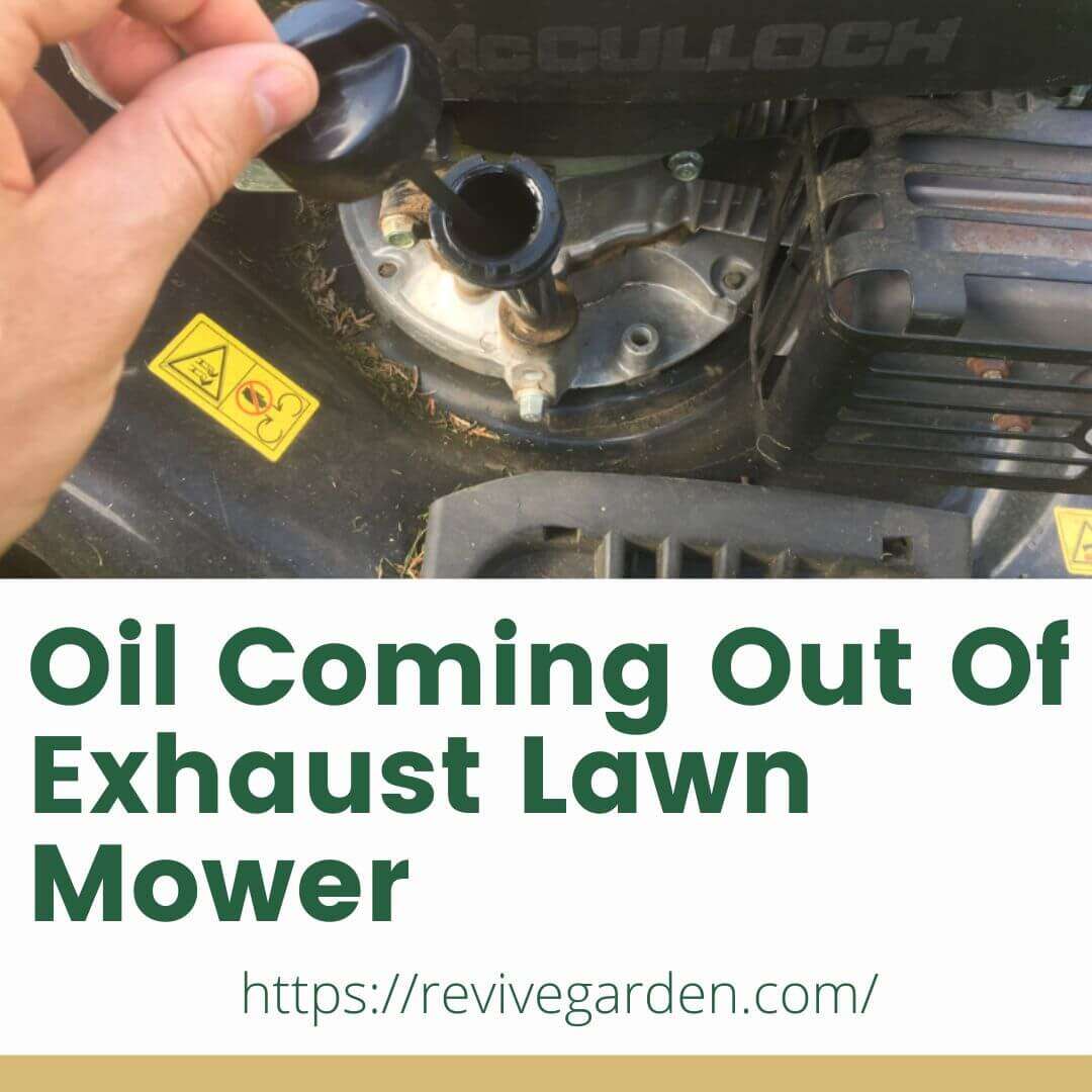 oil-coming-out-of-exhaust-lawn-mower