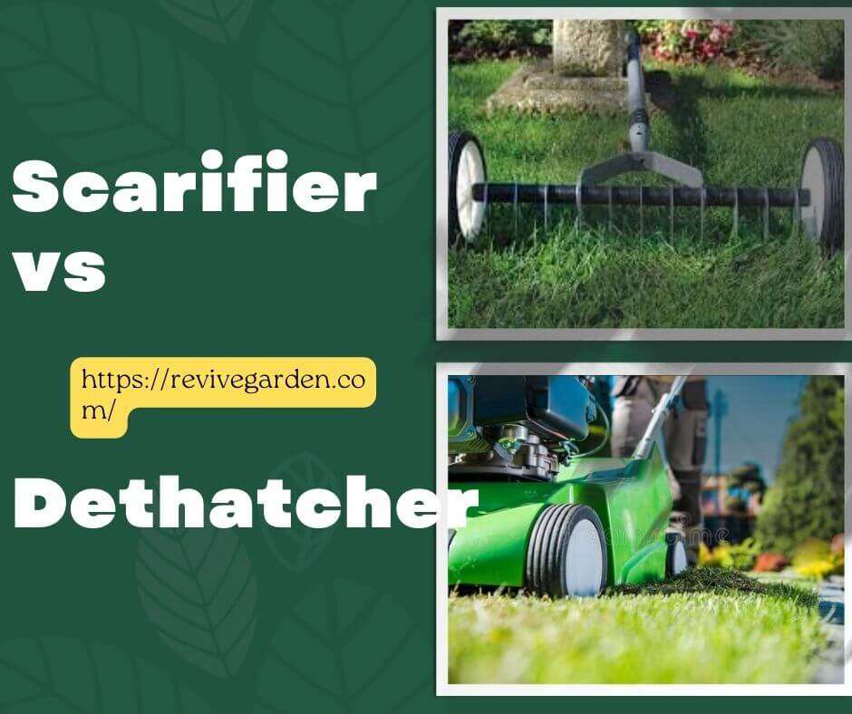 scarifier-vs-dethatcher