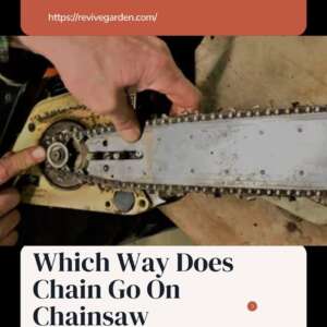 which-way-does-chain-go-on-chainsaw