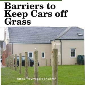 Barriers-to-Keep-Cars-off-Grass