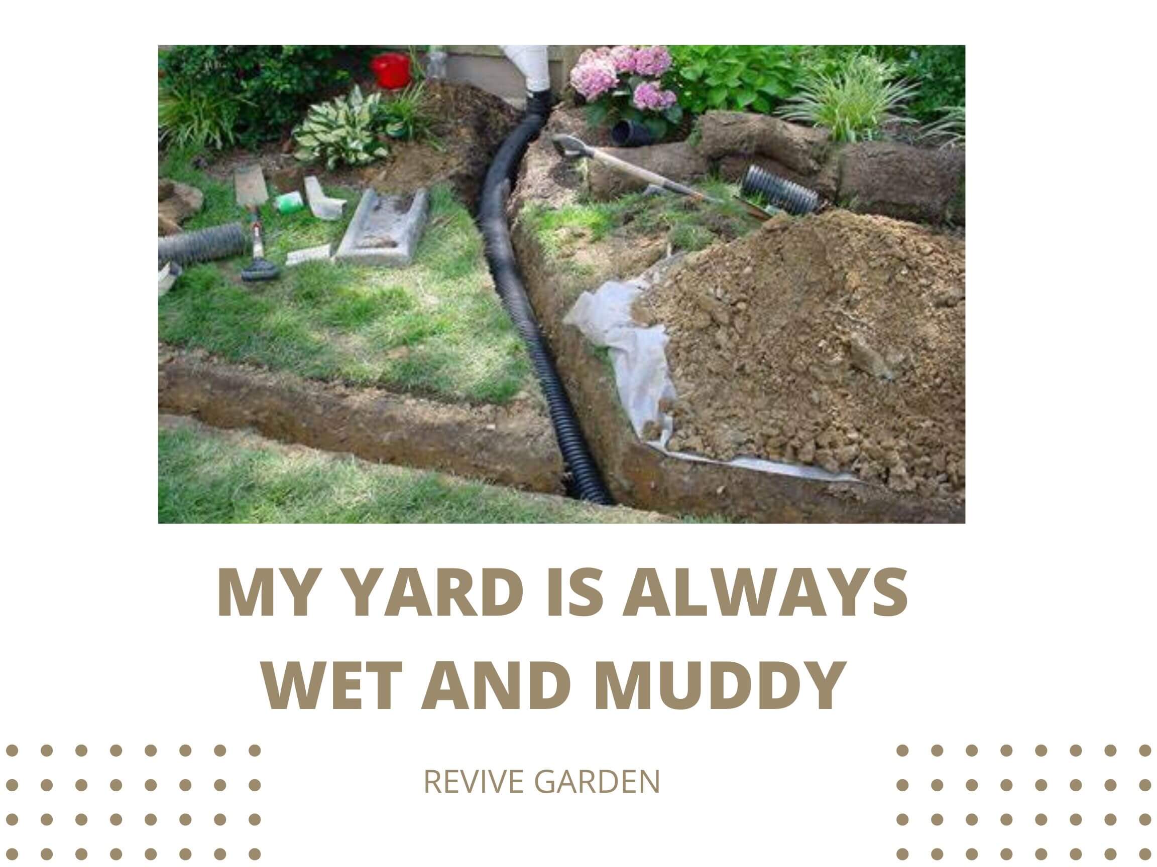 My Yard Is Always Wet And Muddy: Reasons And Solutions 