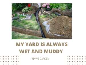 My-Yard-Is-Always-Wet-And-Muddy