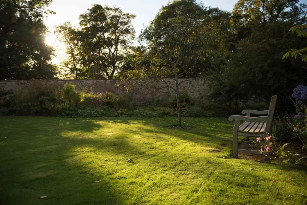 How to Grass Clippings Fast? StepByStep Guide