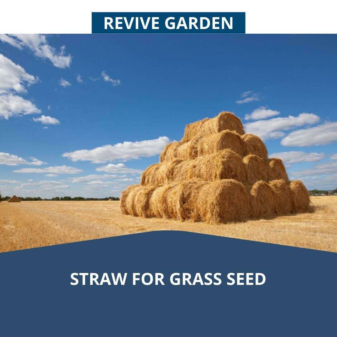 Straw-For-Grass-Seed