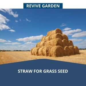 Straw-For-Grass-Seed