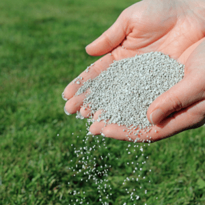 Use Organic Lawn Fertilizer