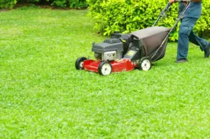 Use Your Lawn Mower to revive grass