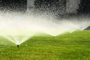 Watering