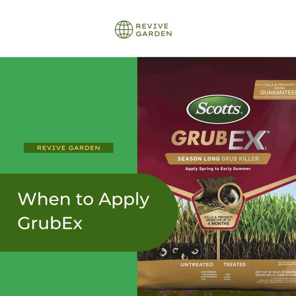 When to Apply Grubex? Lawn Safety Tips Revive Garden