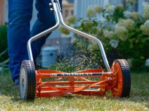 Best Gas Lawn Mowers