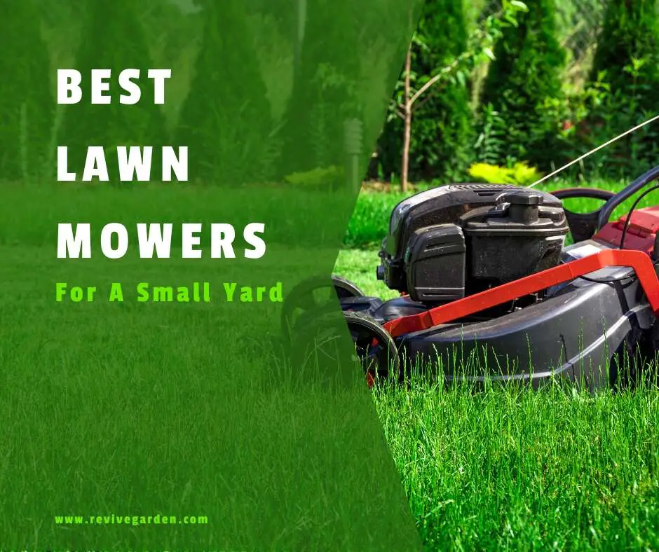 Best Lawn Mowers For A Small Yard