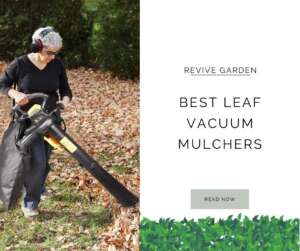 Best-Leaf-Vacuum-Mulchers