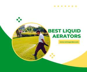 Best Liquid Aerators