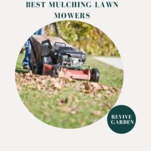 Best-Mulching-Lawn-Mowers