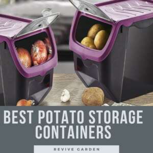 Best-Potato-Storage-Containers