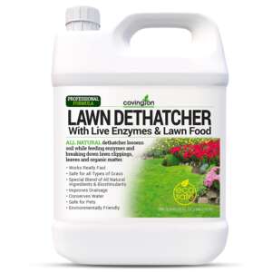 Covington-Liquid-Lawn-Dethatcher