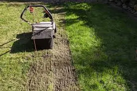 Step 2: Dethatch the lawn