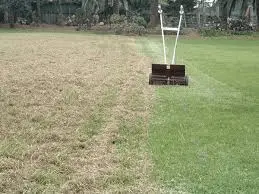 When To Dethatch Lawn