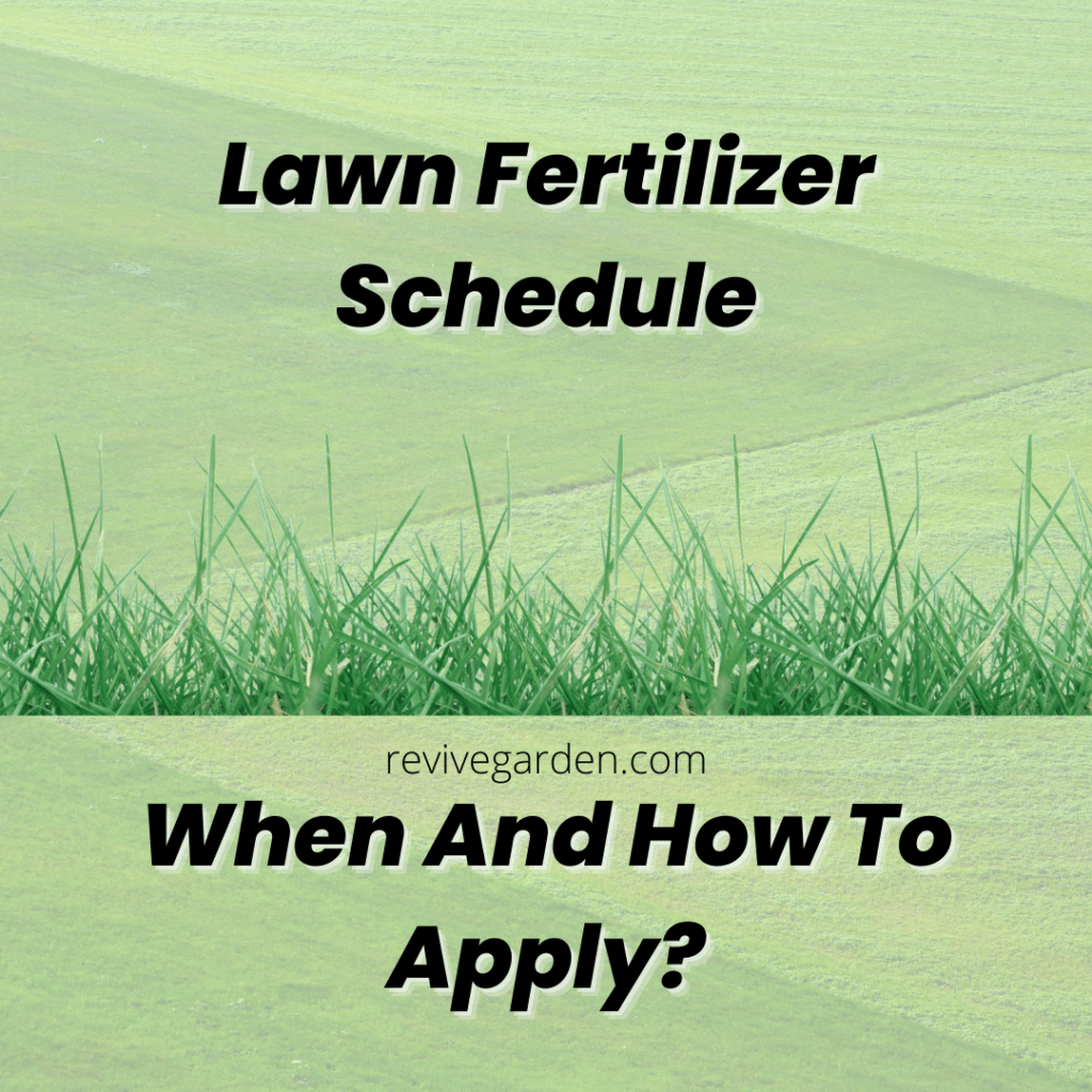 Lawn Fertilizer Schedule When And How To Apply?