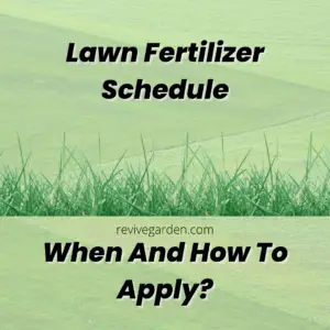 Lawn Fertilizer Schedule