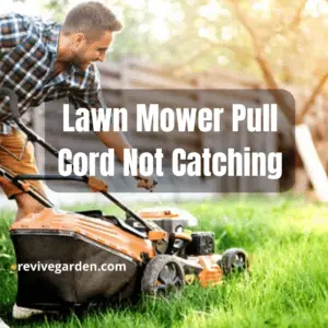 Lawn Mower Pull Cord Not Catching