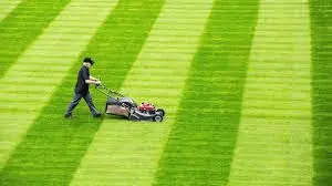 Step 3: Rake and mow the lawn.