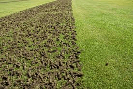 Sync Up With Aeration